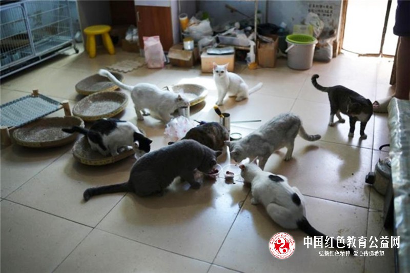 微信图片_20250428102900_副本.jpg