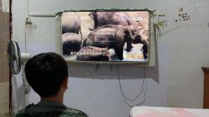 安徽太和县肖口中心校组织学生收看2022年央视《开学第一课》