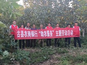 古县农商银行开展“助农服务”主题劳动活动